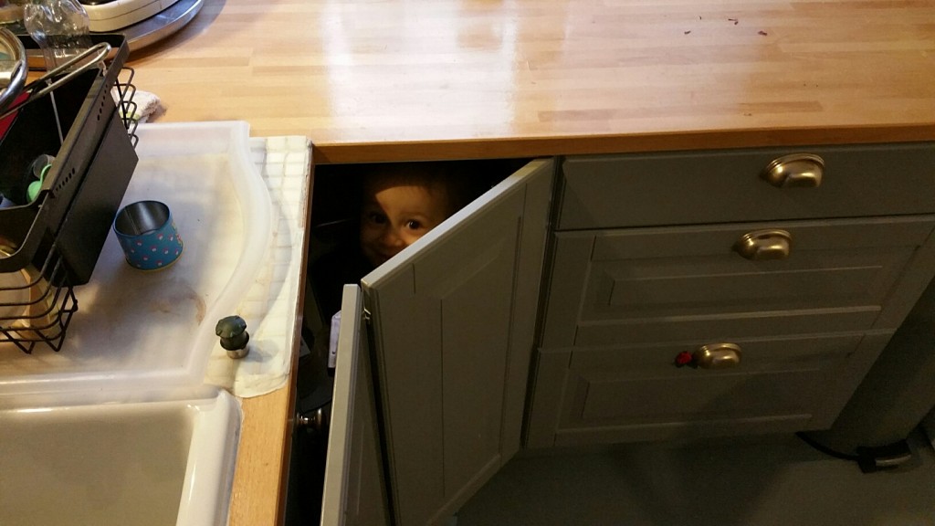 20151207_083459_resized